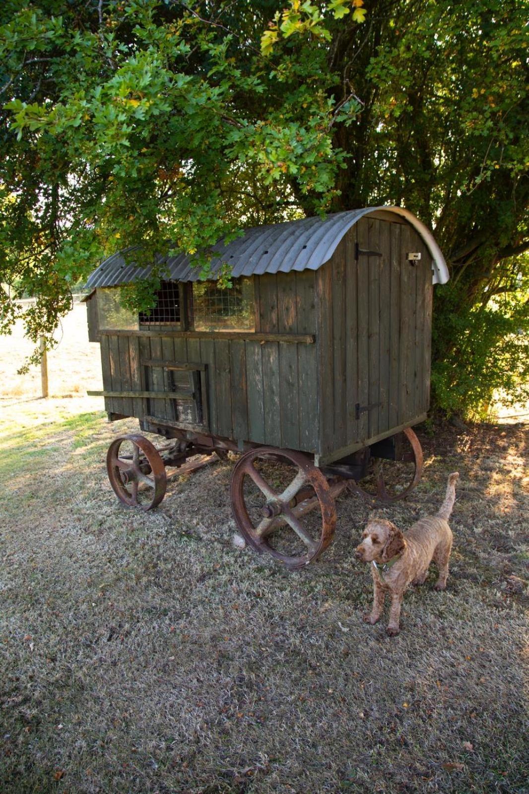 Ebony Holiday home *